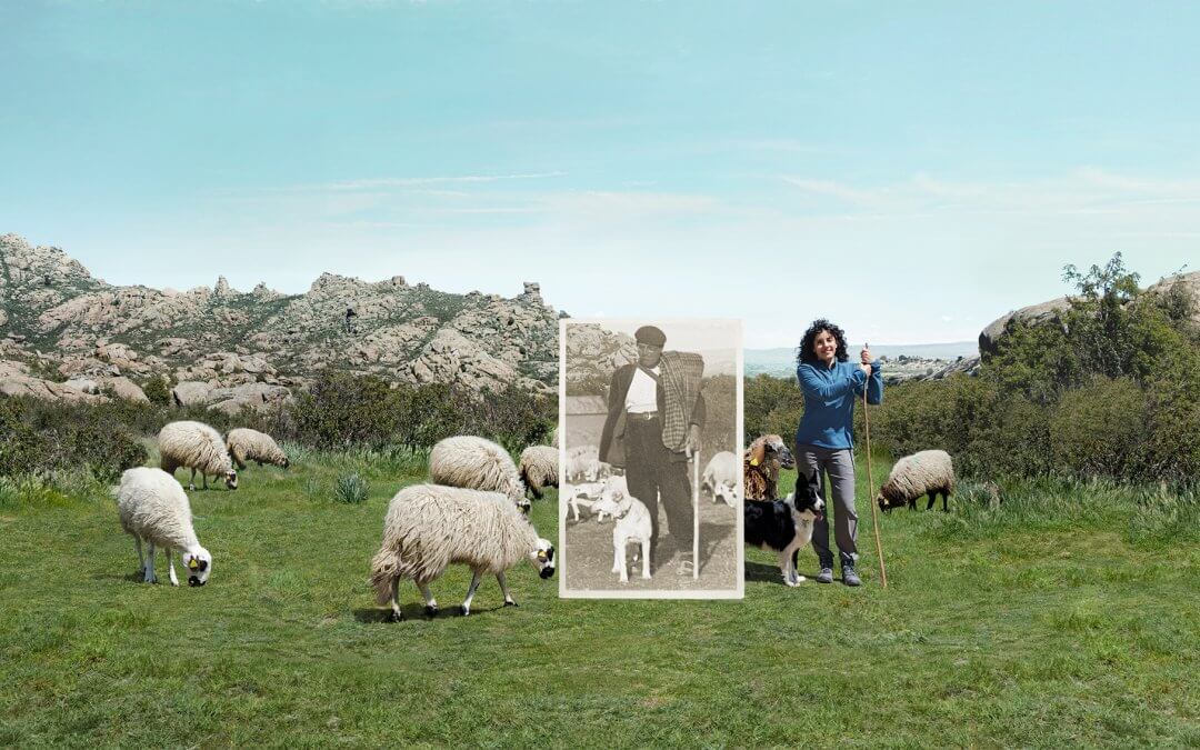 INTEROVIC presenta el Programa Europeo que ayudará a posicionar la sostenibilidad del ovino y el caprino ante toda la sociedad