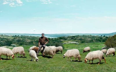Interovic busca pastores reales para protagonizar su próximo spot publicitario