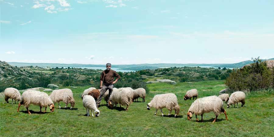 Interovic busca pastores reales para protagonizar su próximo spot publicitario