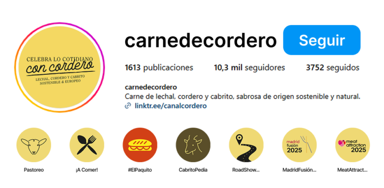 seguir en instagram