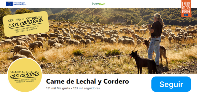 seguir en facebook