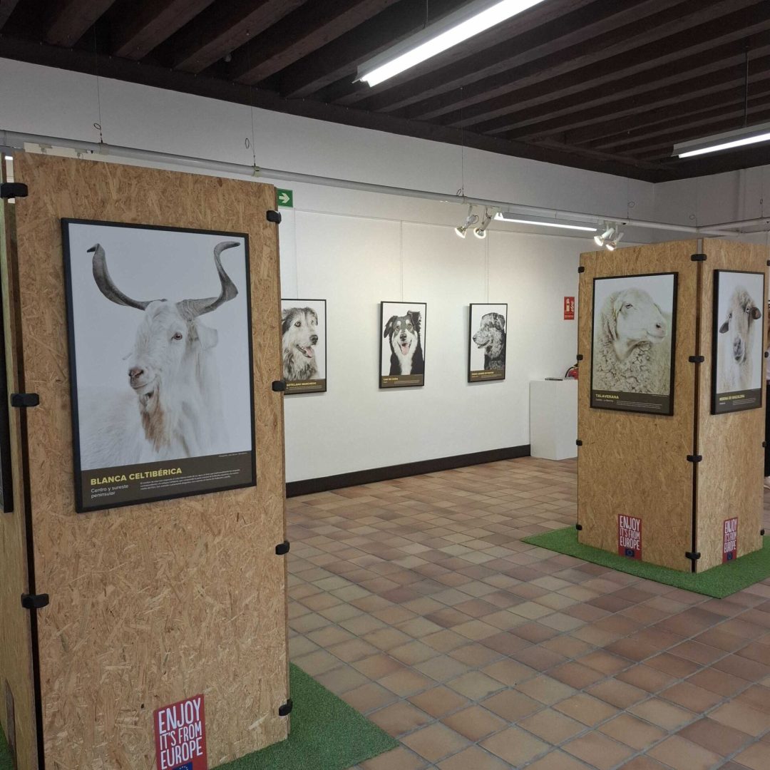 Exposición Bestiarium El Escorial